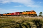 BNSF 5000, CP 8730, BNSF 1793, 1903